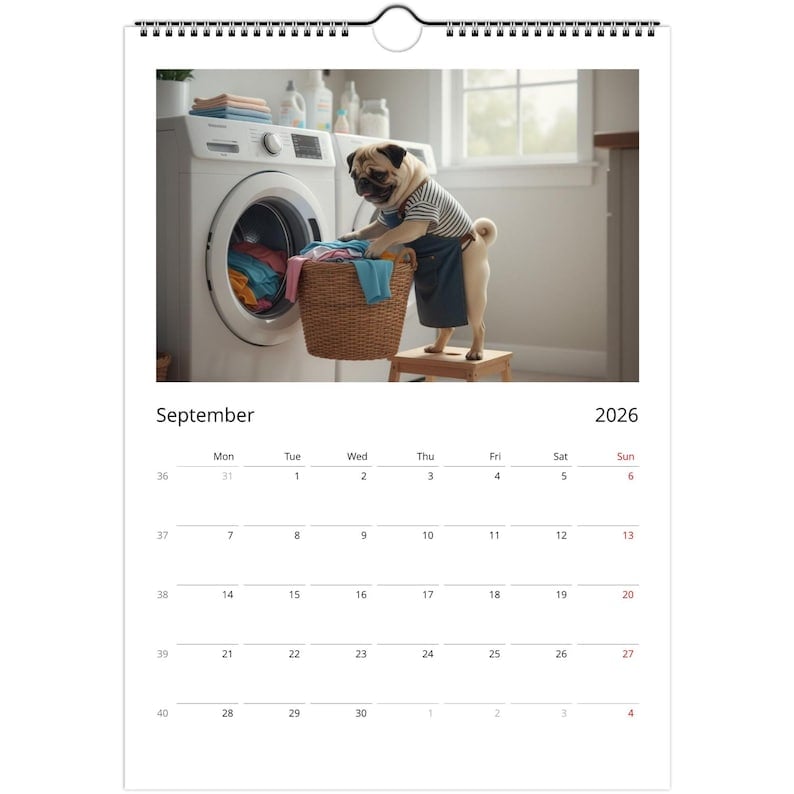 Pug Calendar 2026 - Daily Activities